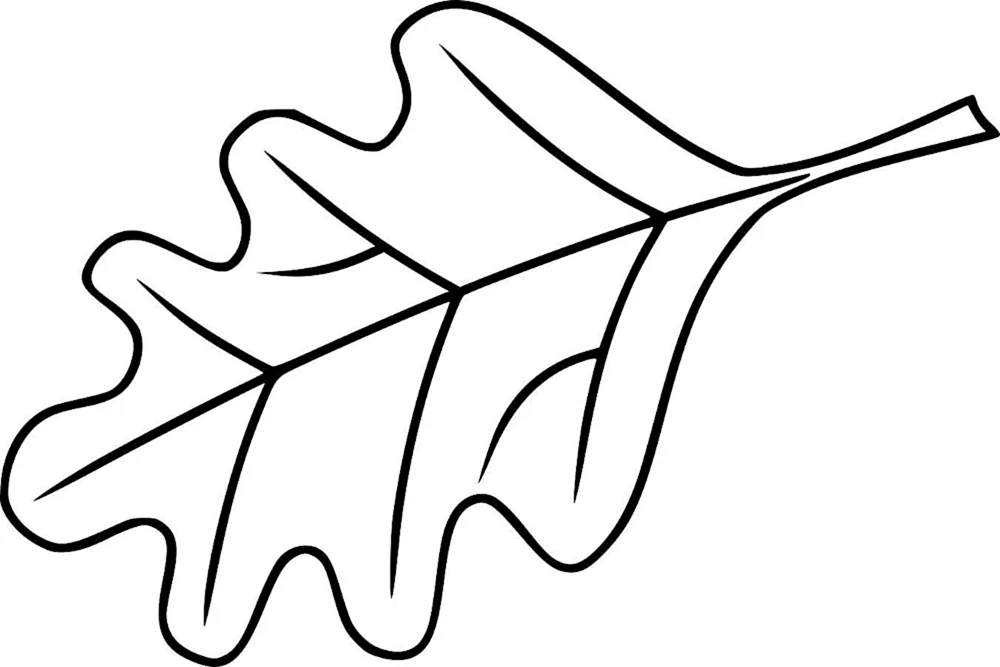 Blattumriss