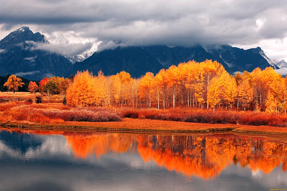 Natur im Herbst