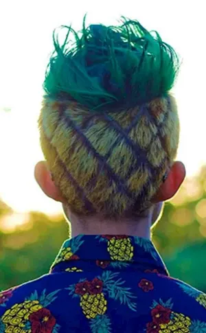 Jarakhov Frisur Ananas