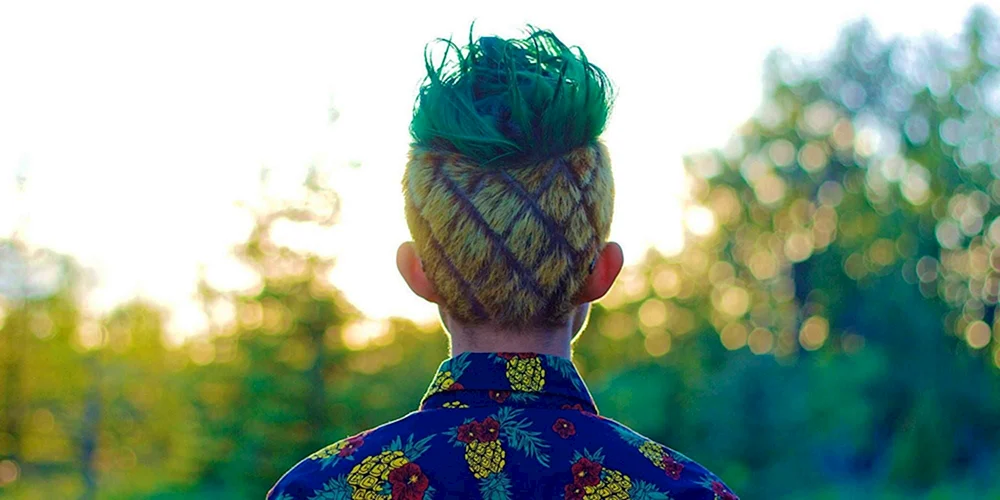 Jarakhov Frisur Ananas