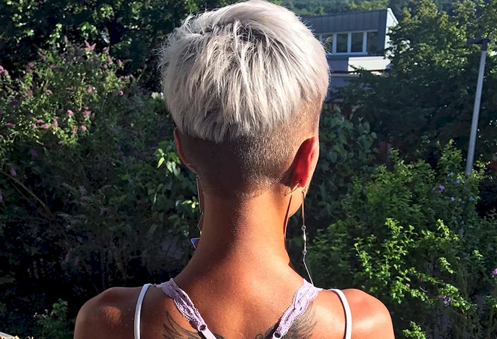 Pixie bob haircut for men