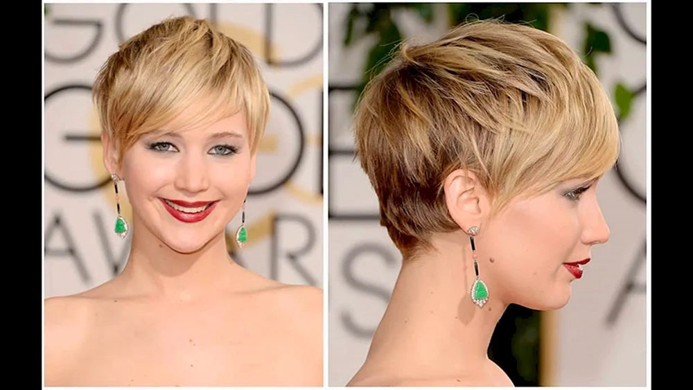 Pflege Pixie Bob