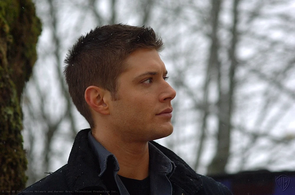 Jensen Ackles im Profil