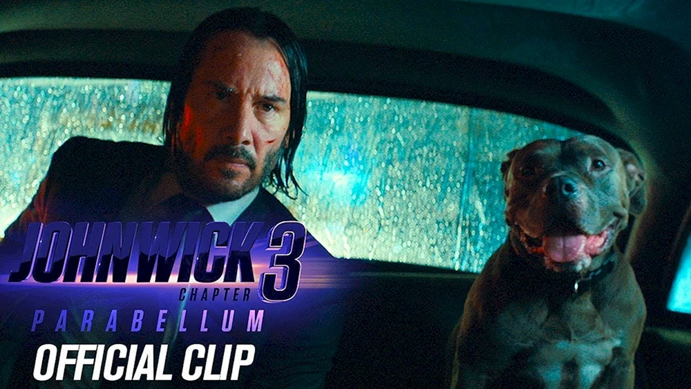 John Wick 1 Hund