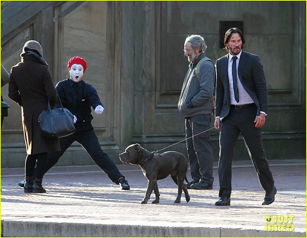 John Wick 3 Hunde