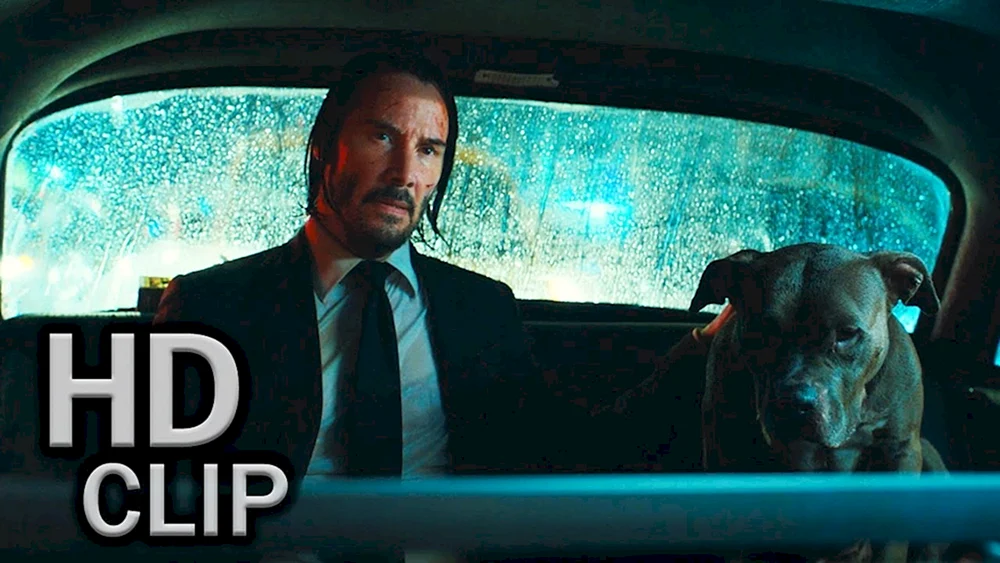 John Wick 3 Hunde