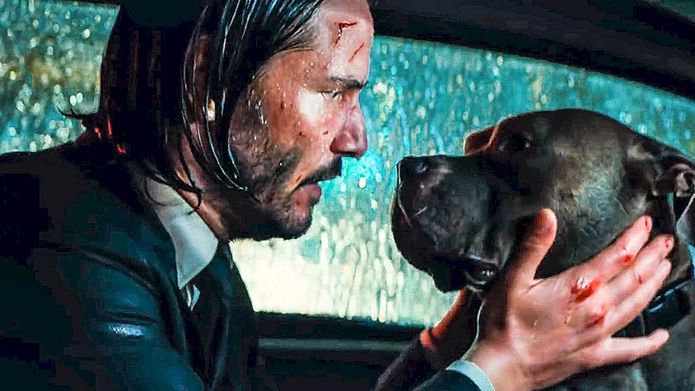 John Wick 3 Hund
