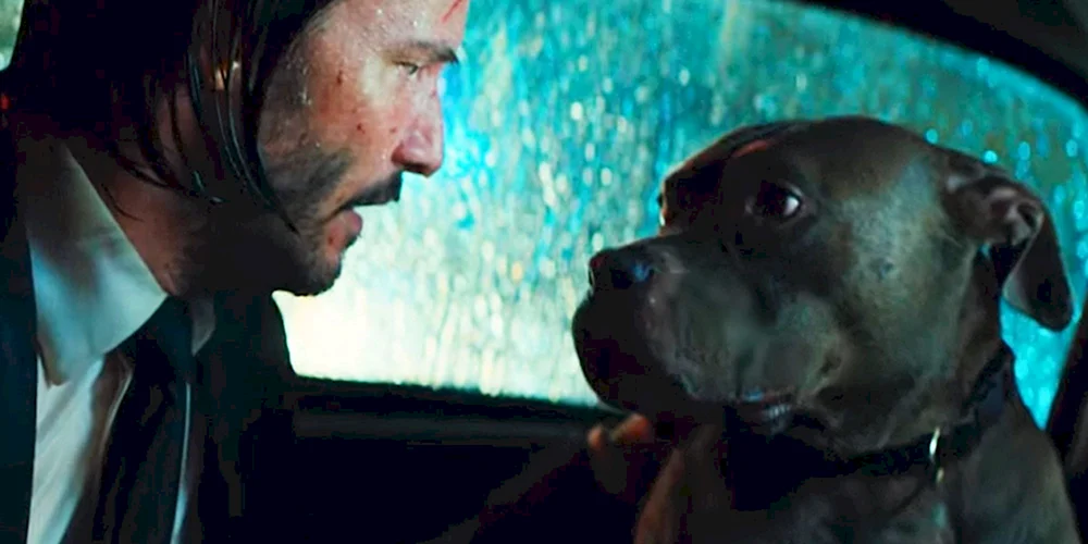 John Wick 3 Hund