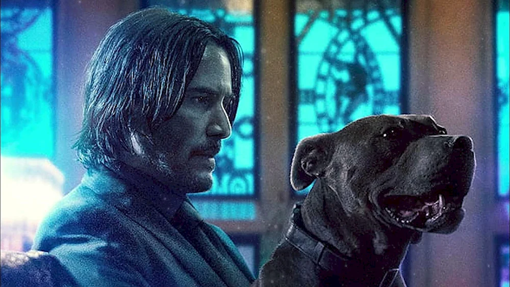 John Wick 3 Hunde
