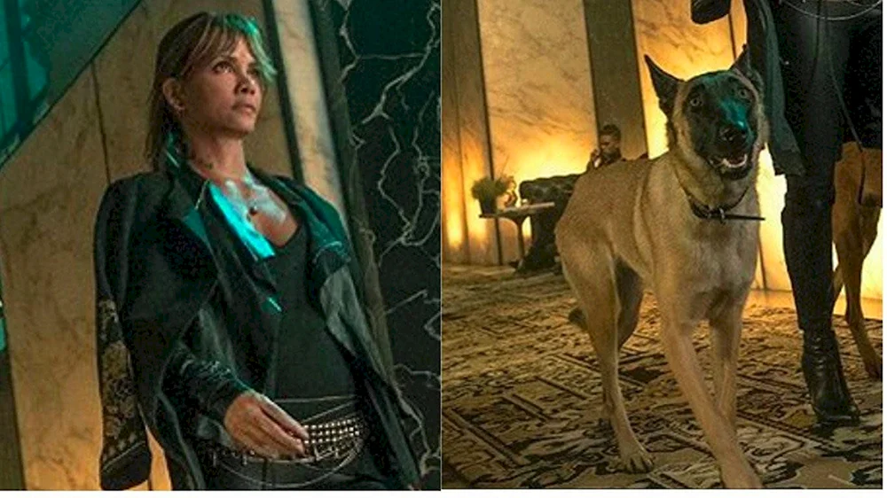 John Wick 3 Hund Hunde