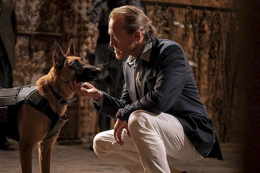 John Wick 2 Hund