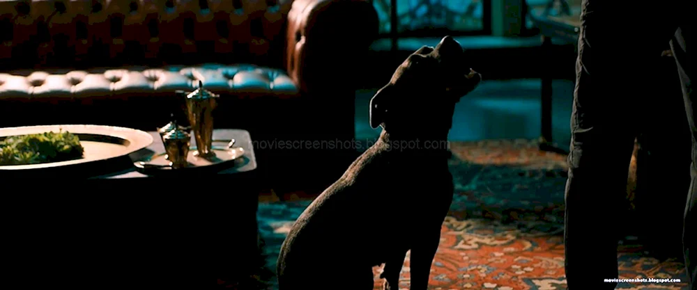 John Wick 3 mit Halle Berry