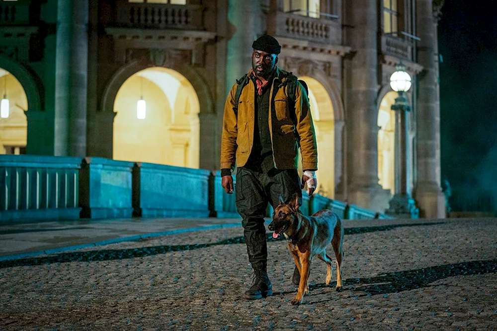 John Wick 2 Hund
