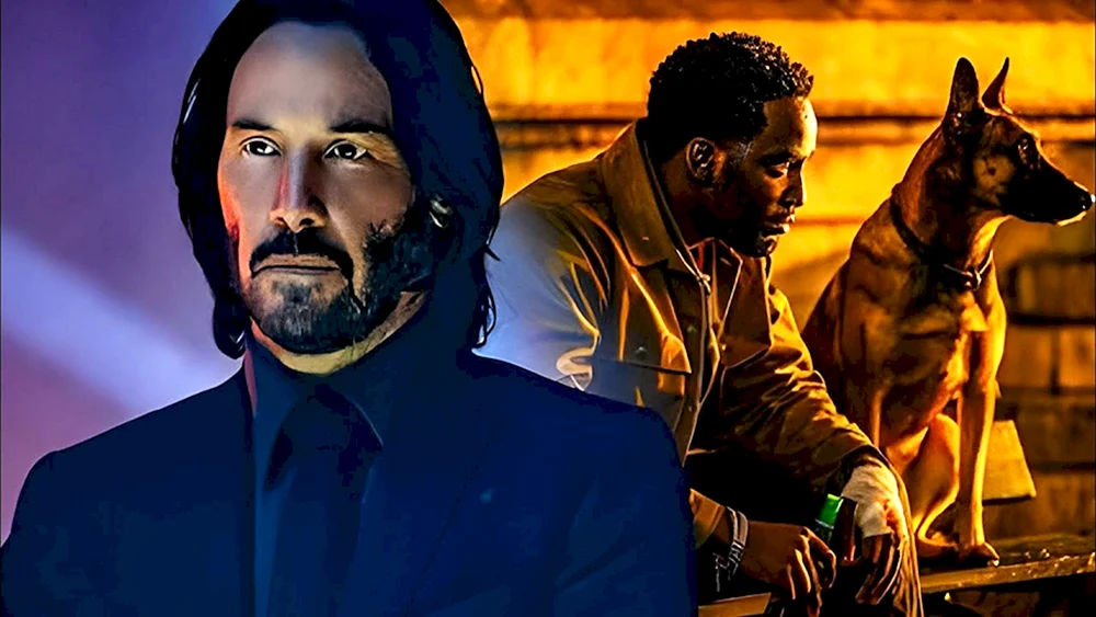 John Wick 3 Hunderasse Holly