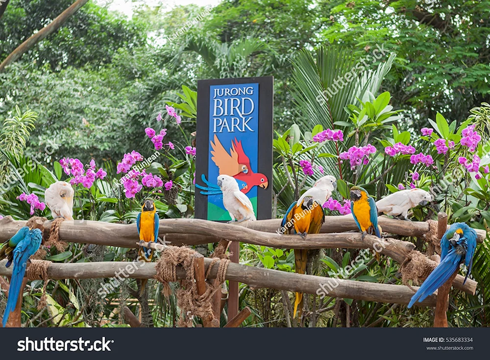 Jurong Singapur