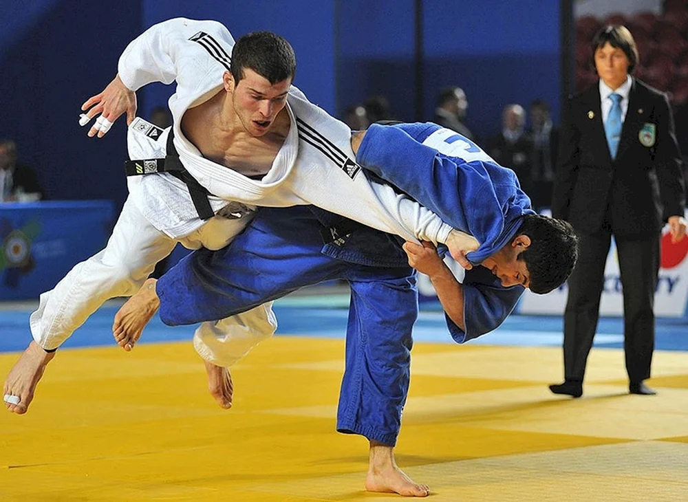 Judohintergrund