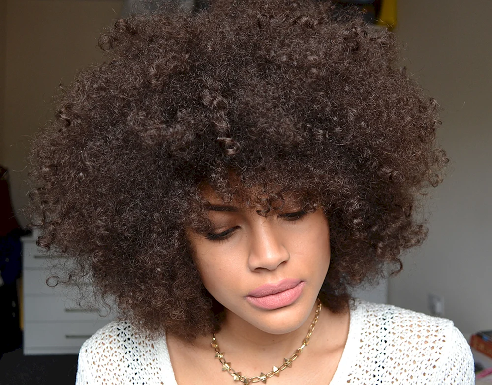 Eboni y. Nichols