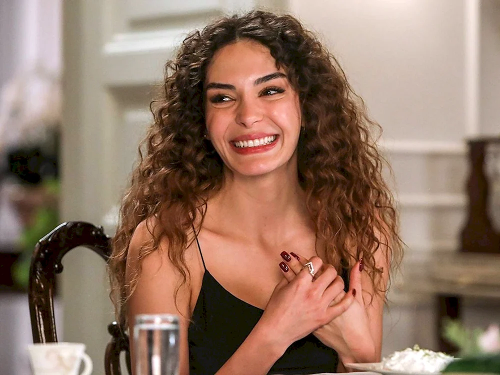 Ebru Shaheen