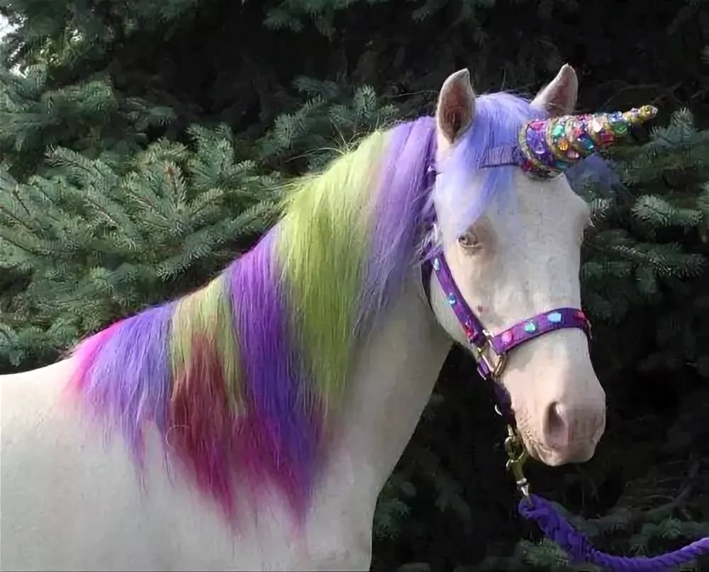 Einhorn Haare
