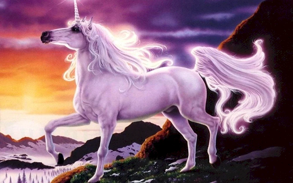 Ambers Einhorn