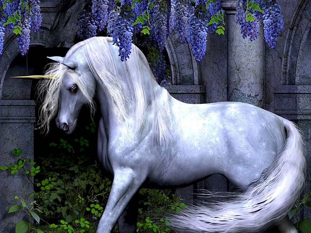 Amberas Einhorn