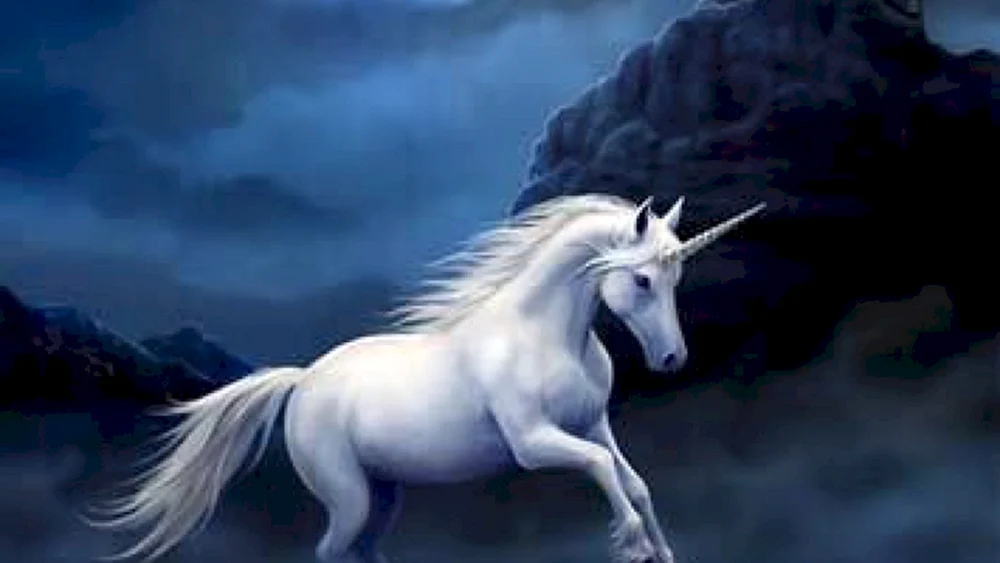 Einhorn