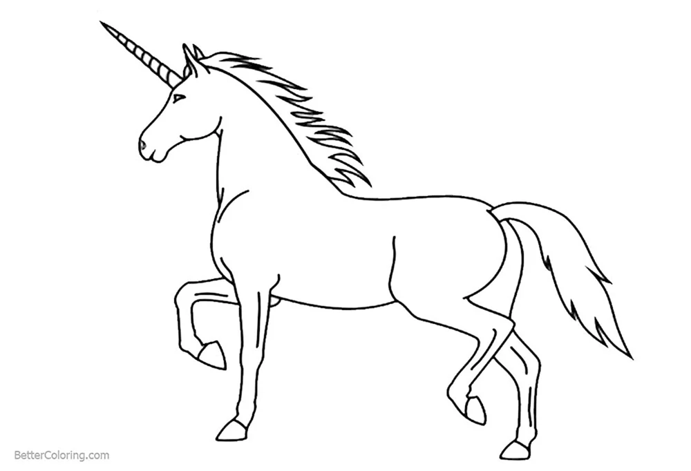 Einhorn