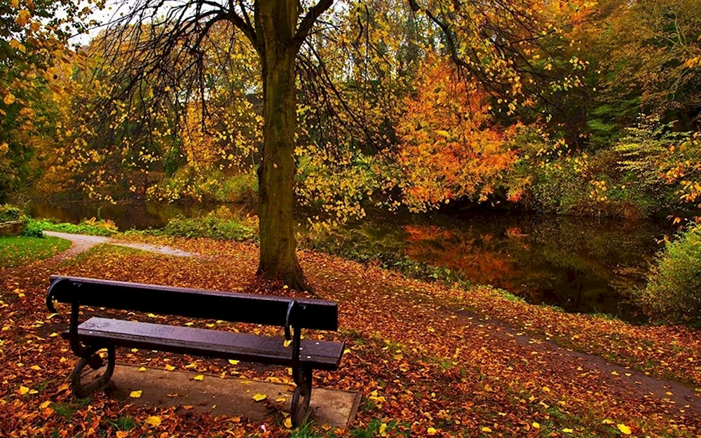 Ekaterininsky Park Bänke