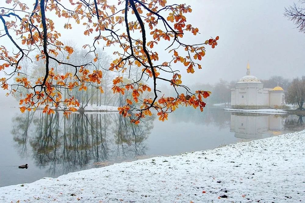 Ecatherine Park Tsarskoe Selo im Winter
