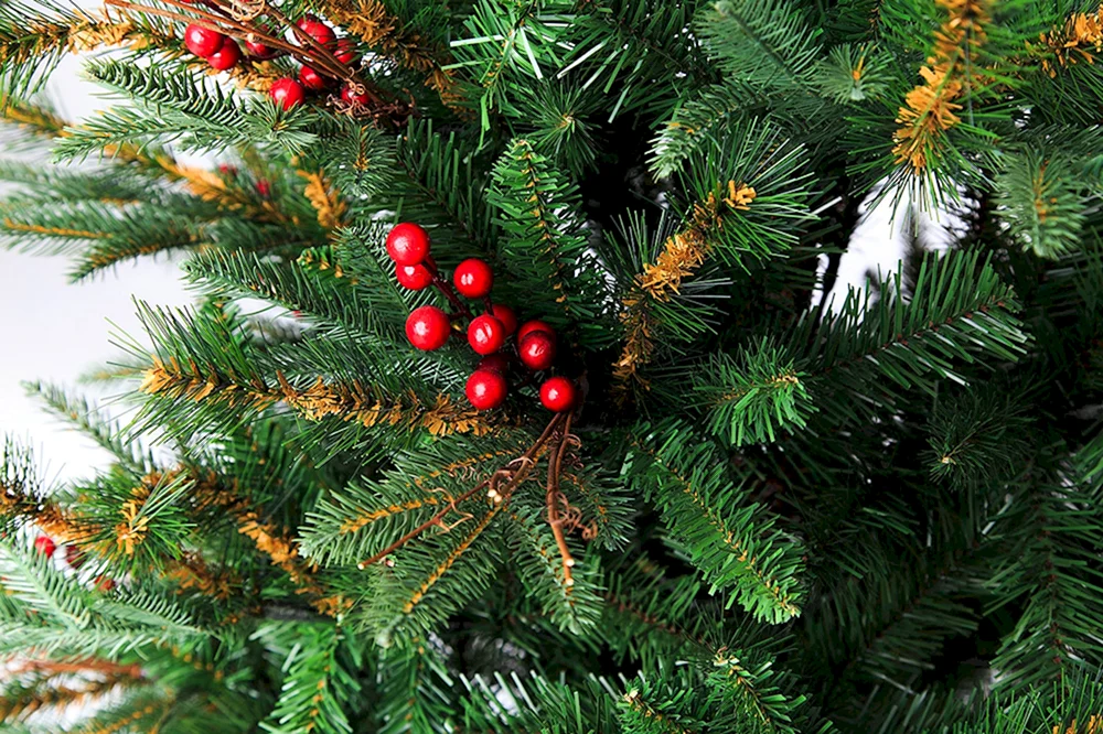 Jaroslawskaja-Baum Max Weihnachten