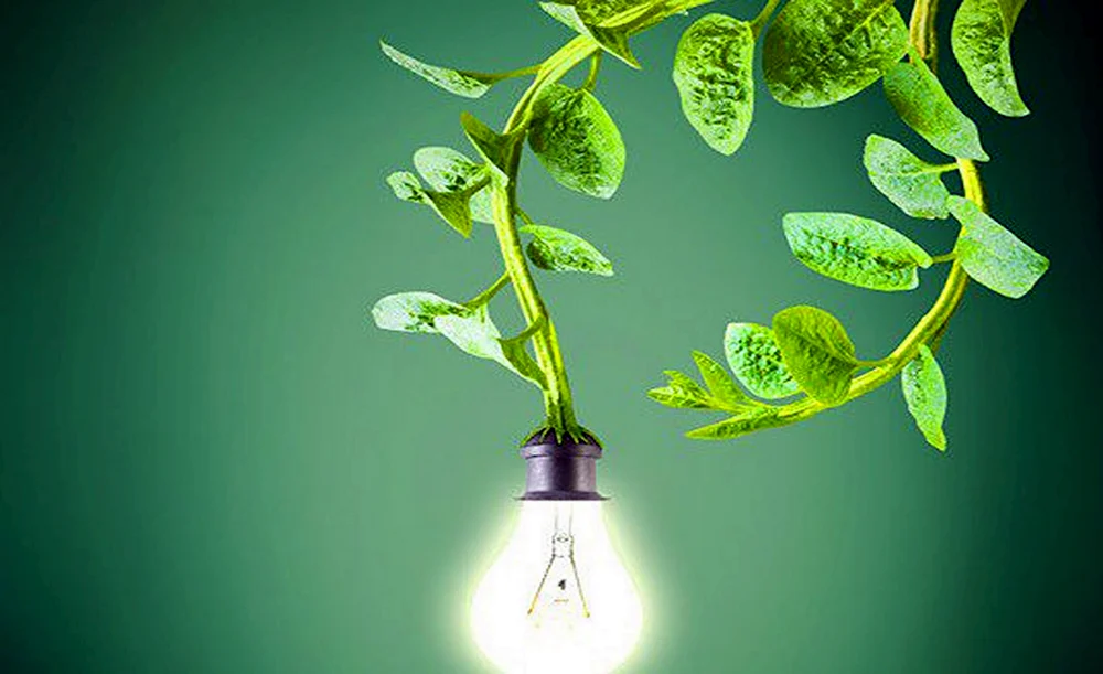 Elektrizität in Anlagen