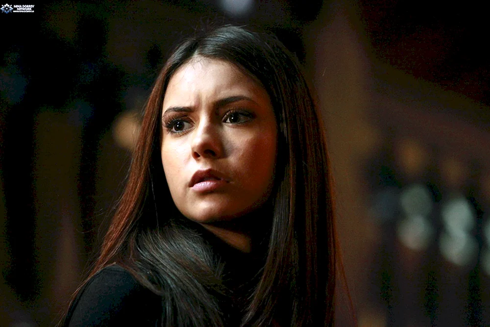 Elena Gilbert Staffel 8
