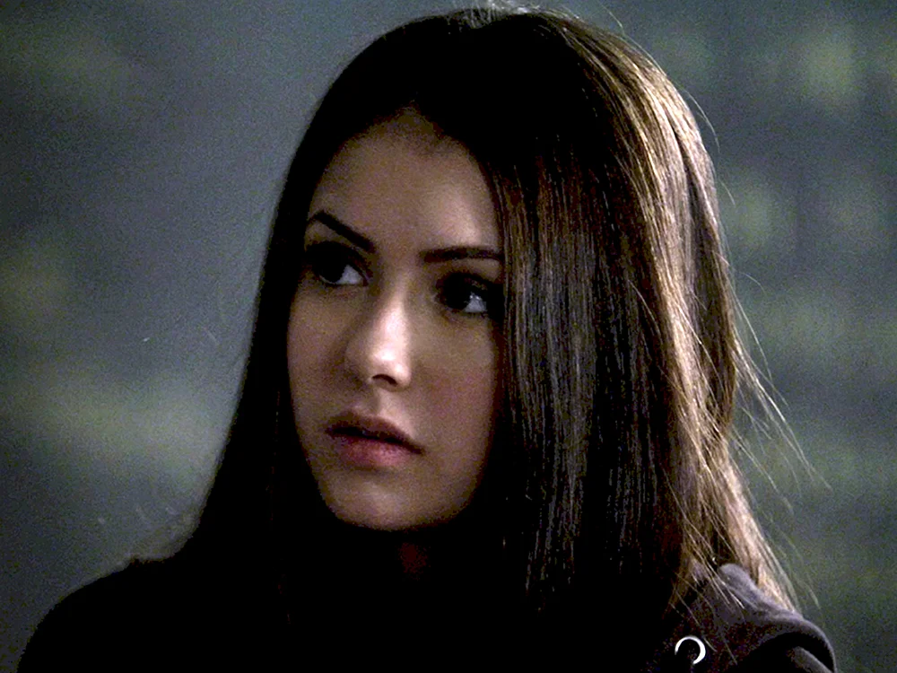 Nina Dobrev Elena Gilbert The Vampire Diaries