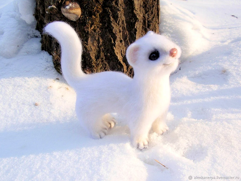 Maske Mustela nivalis