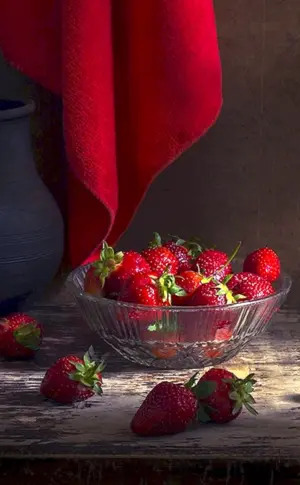 Elena Rubinskaya Fotografin