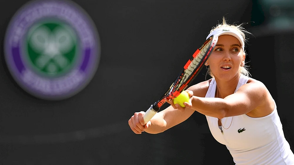 Elena Vesnina Tennisspielerin
