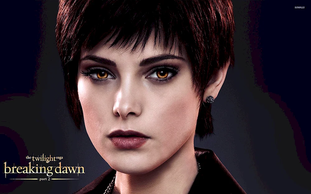 Elyse Cullen