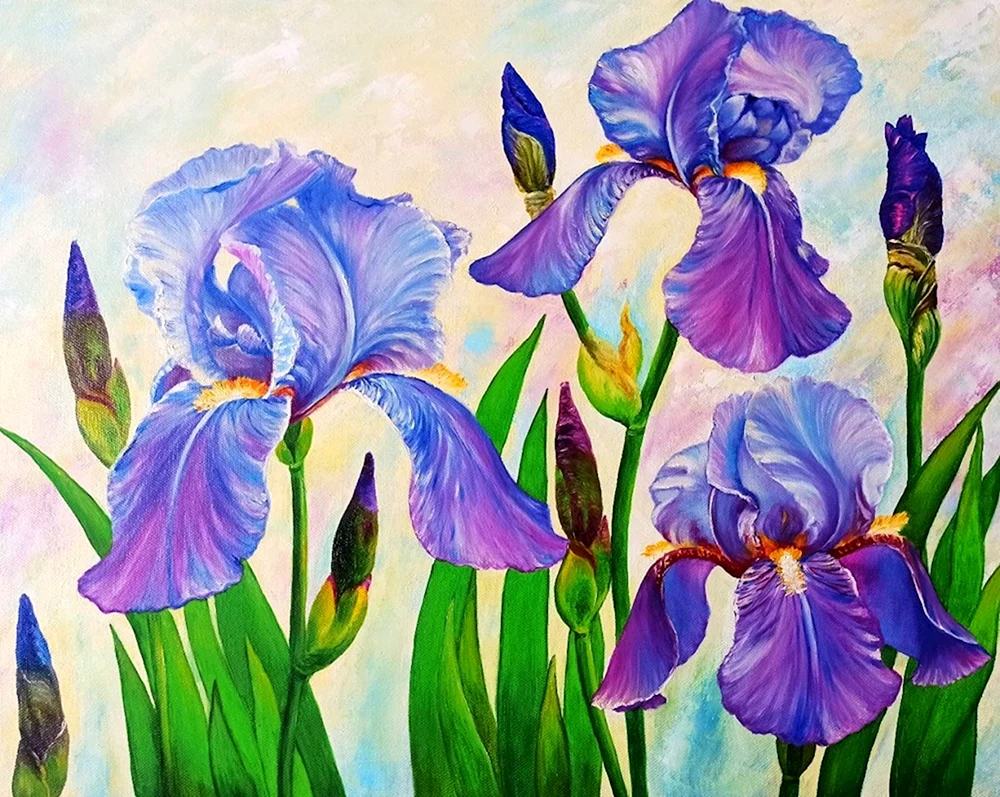 Elizabeth Horning Schwertlilien
