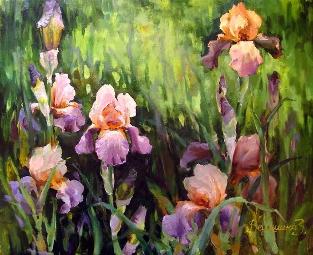 Elizabeth Horning Schwertlilien