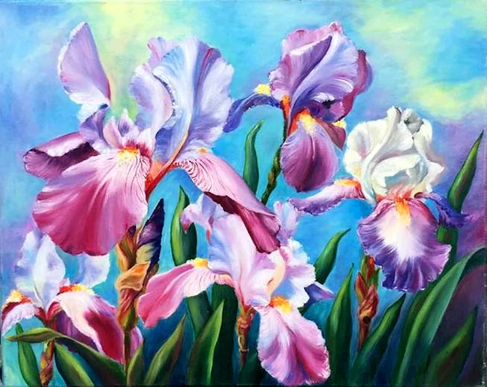 Daryl Trott irises