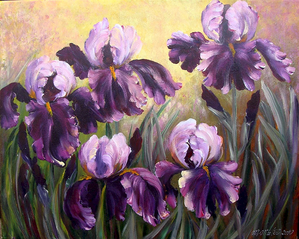 Erin Hanson irises