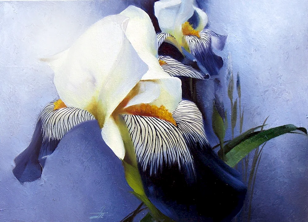 Daryl Trott irises