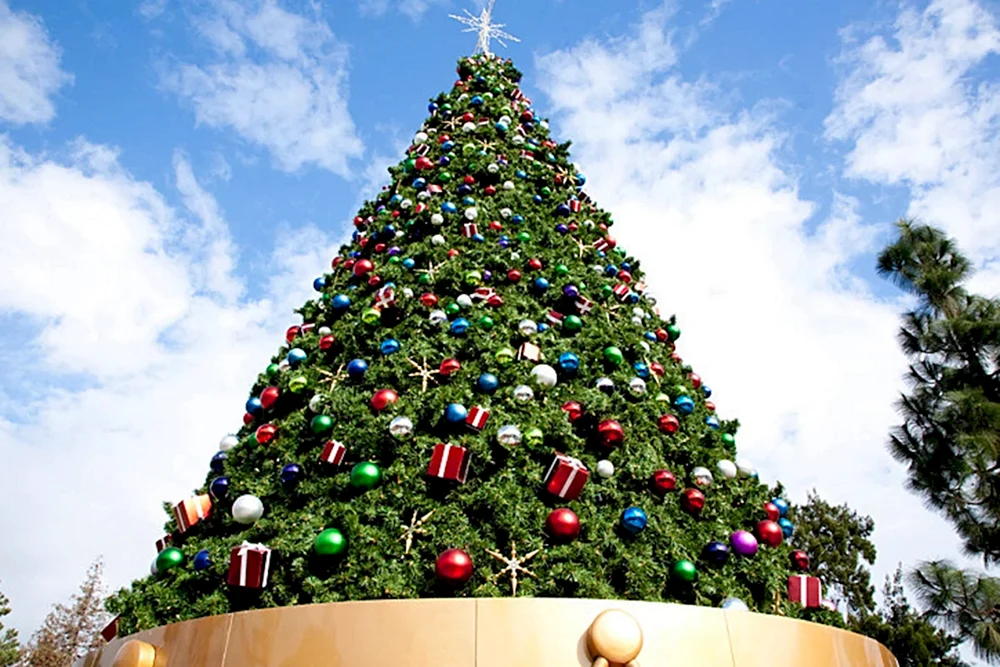 Weihnachtsbaum groß