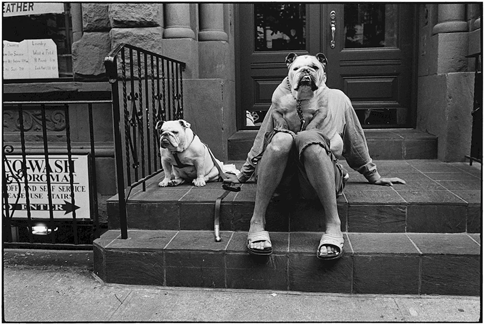 Elliott Erwitt