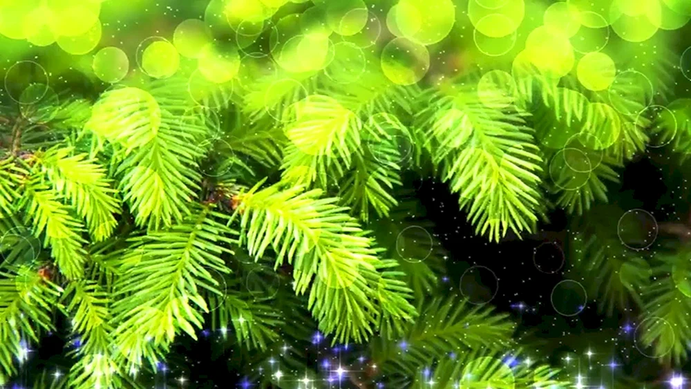 Neujahrszweig