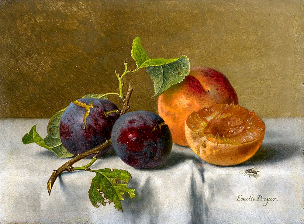 Olga Bazanova Pflaumen