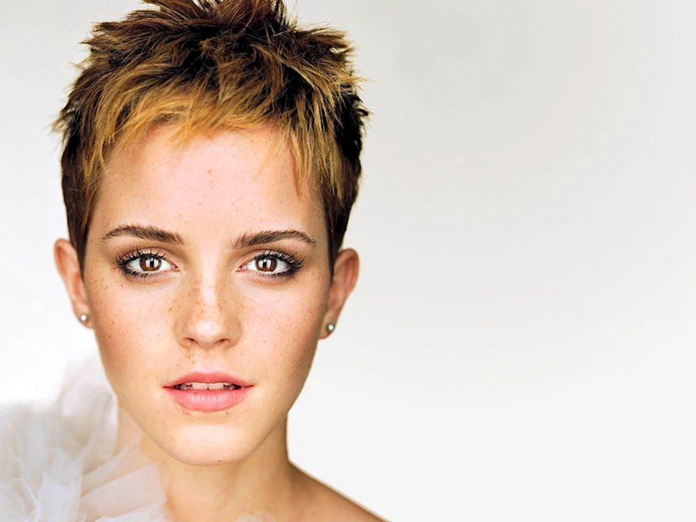 Pixie Mallet Haarschnitt