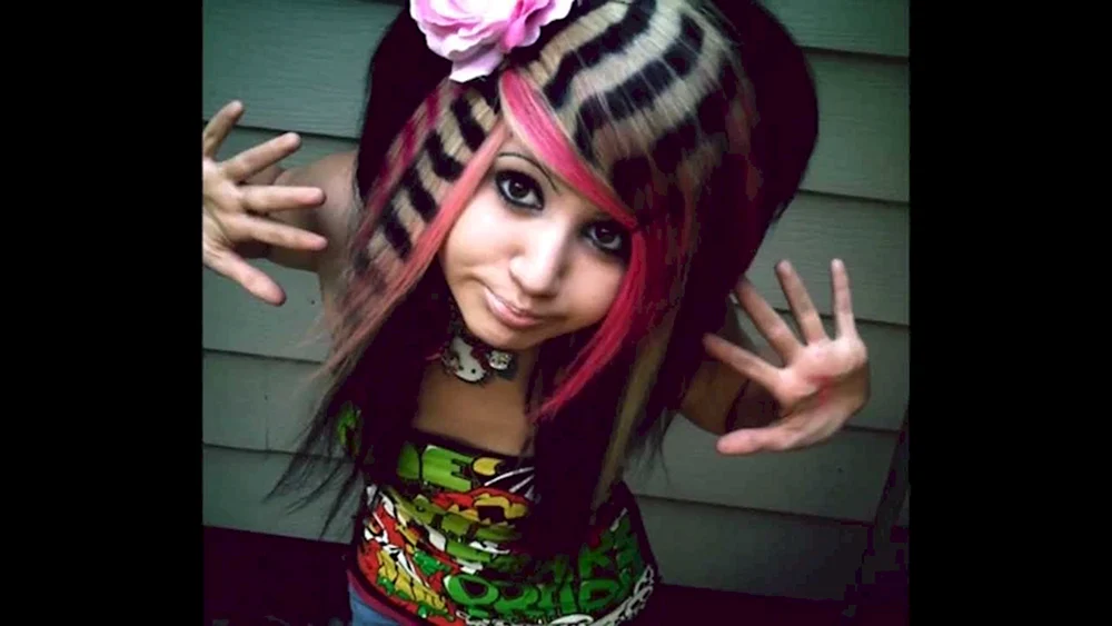 Emo Subkultur 2007