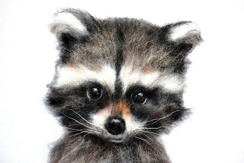 Waschbär