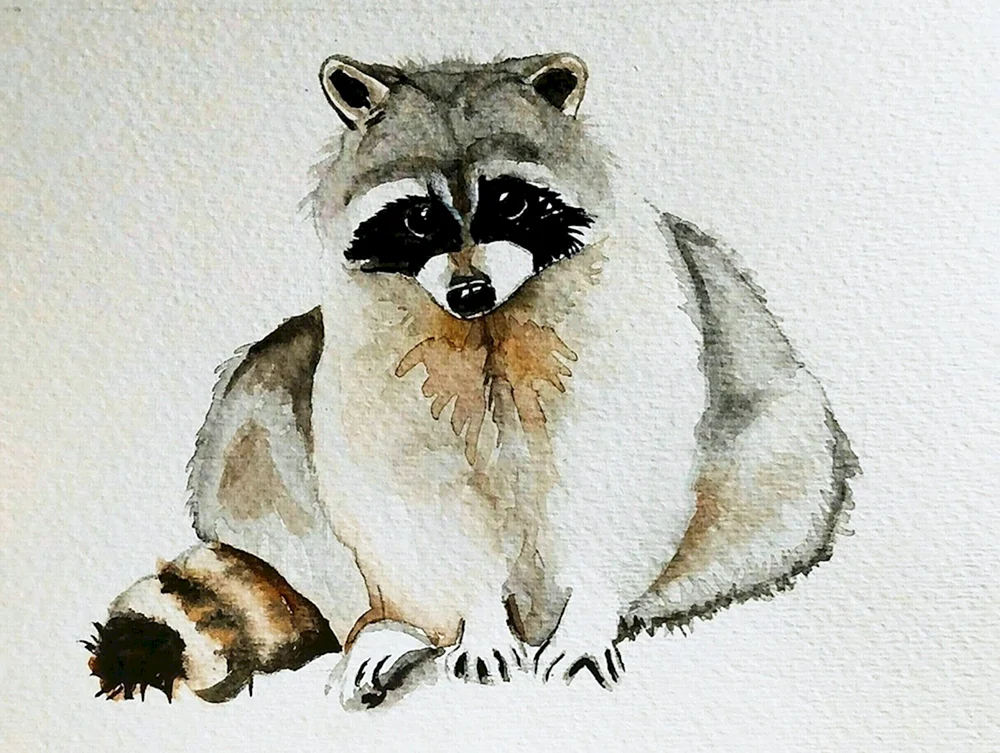 Waschbär Aquarell für Kinder
